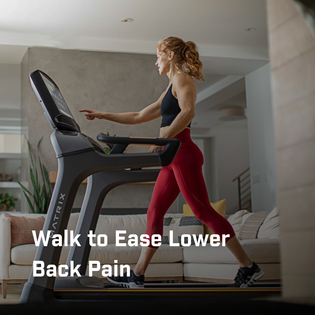 Best treadmill for lower back pain sale