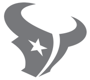 houston texans
