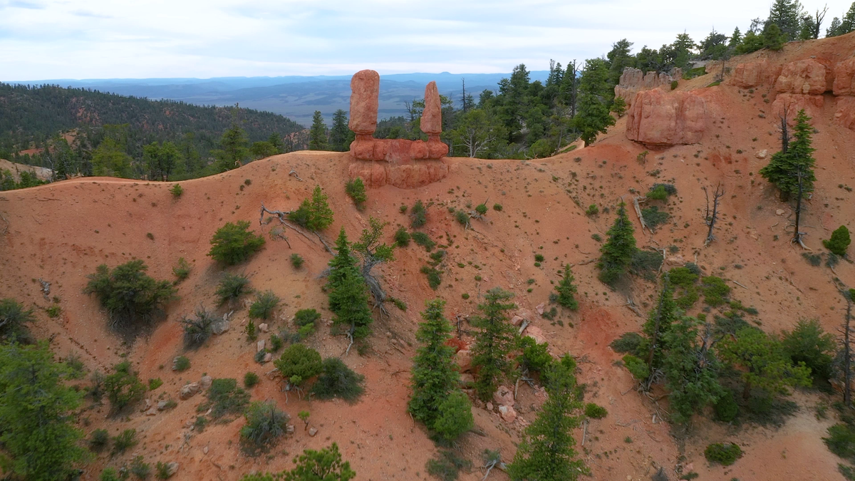 (4 million+ reviews) - Photo