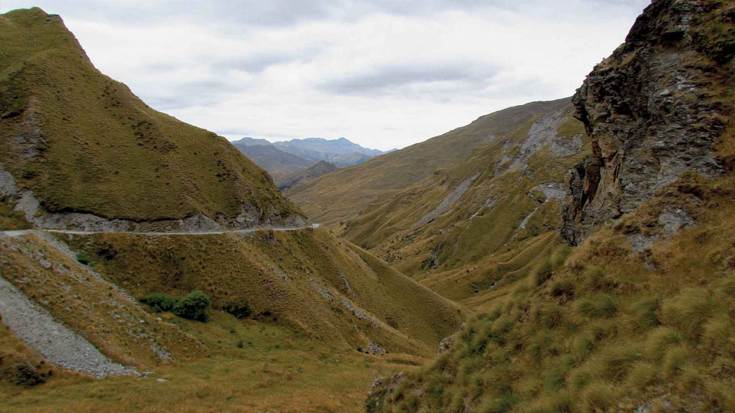 Virtual Active Expansion Packs