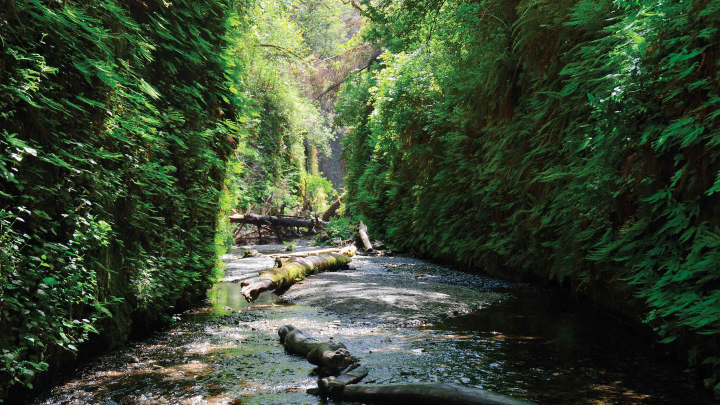 Virtual Active Expansion Packs