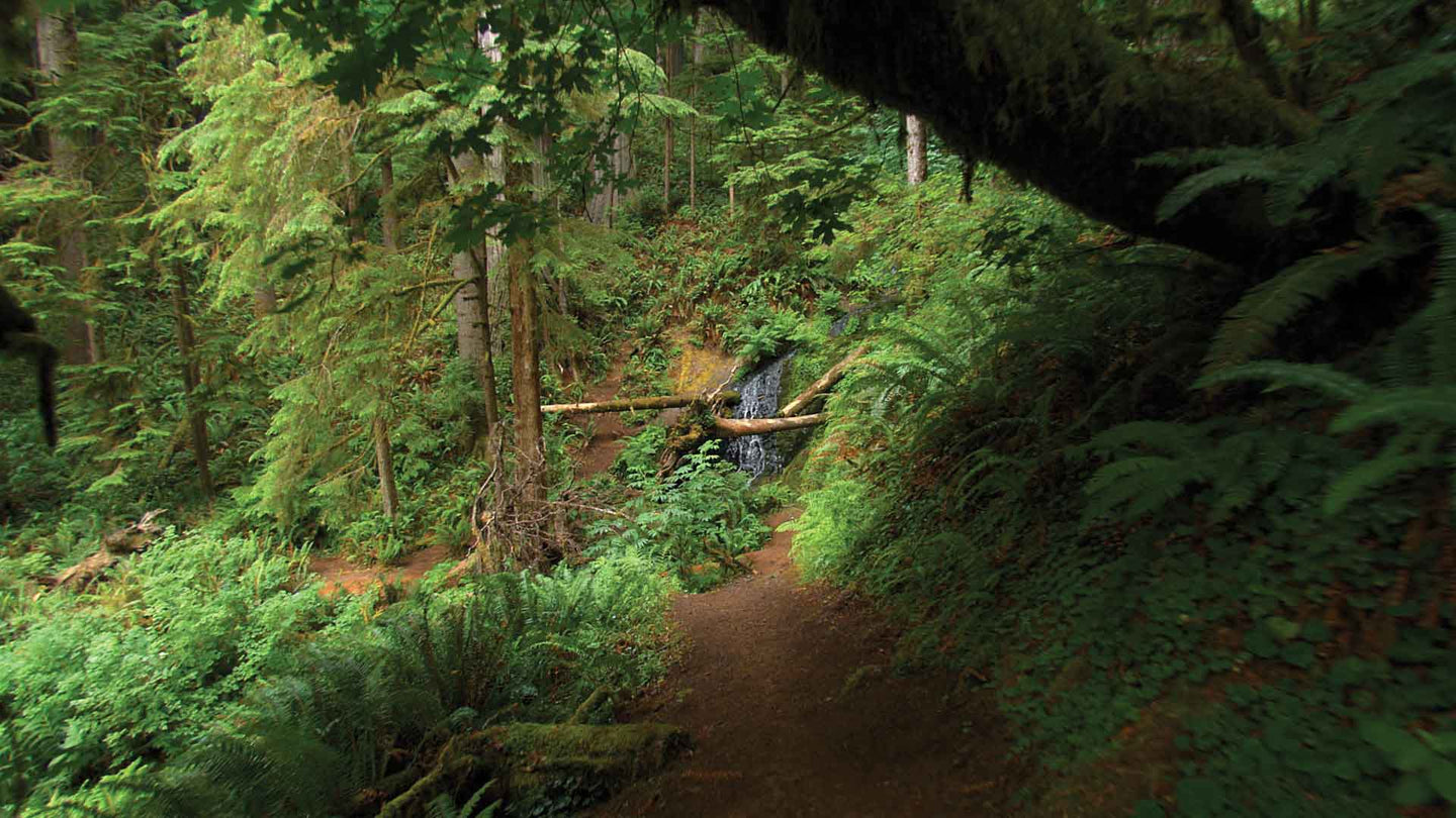 Virtual Active Expansion Packs