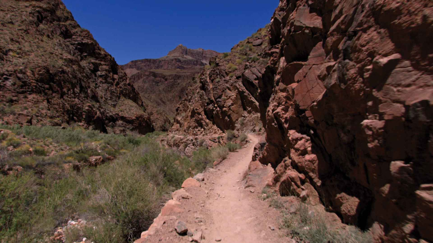 Virtual Active Expansion Packs