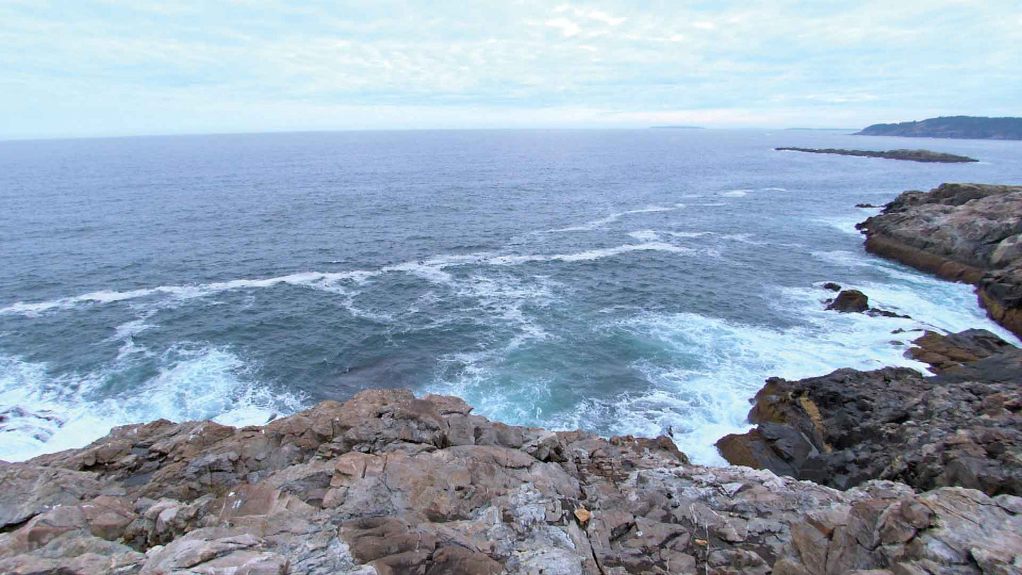 Virtual Active Expansion Packs